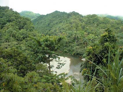 Parque Alejandro de Humboldt recibe distincion de medio ambiente.